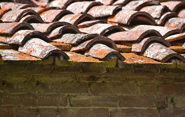 Roof decay